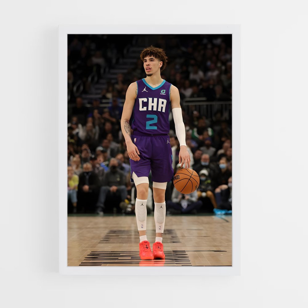 Poster Hornets en Action – affiche Basketball (vue 3)